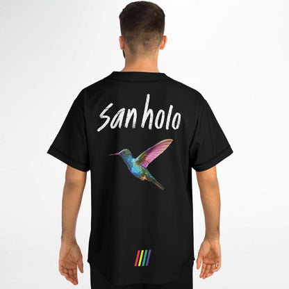 hummingbird  san V2